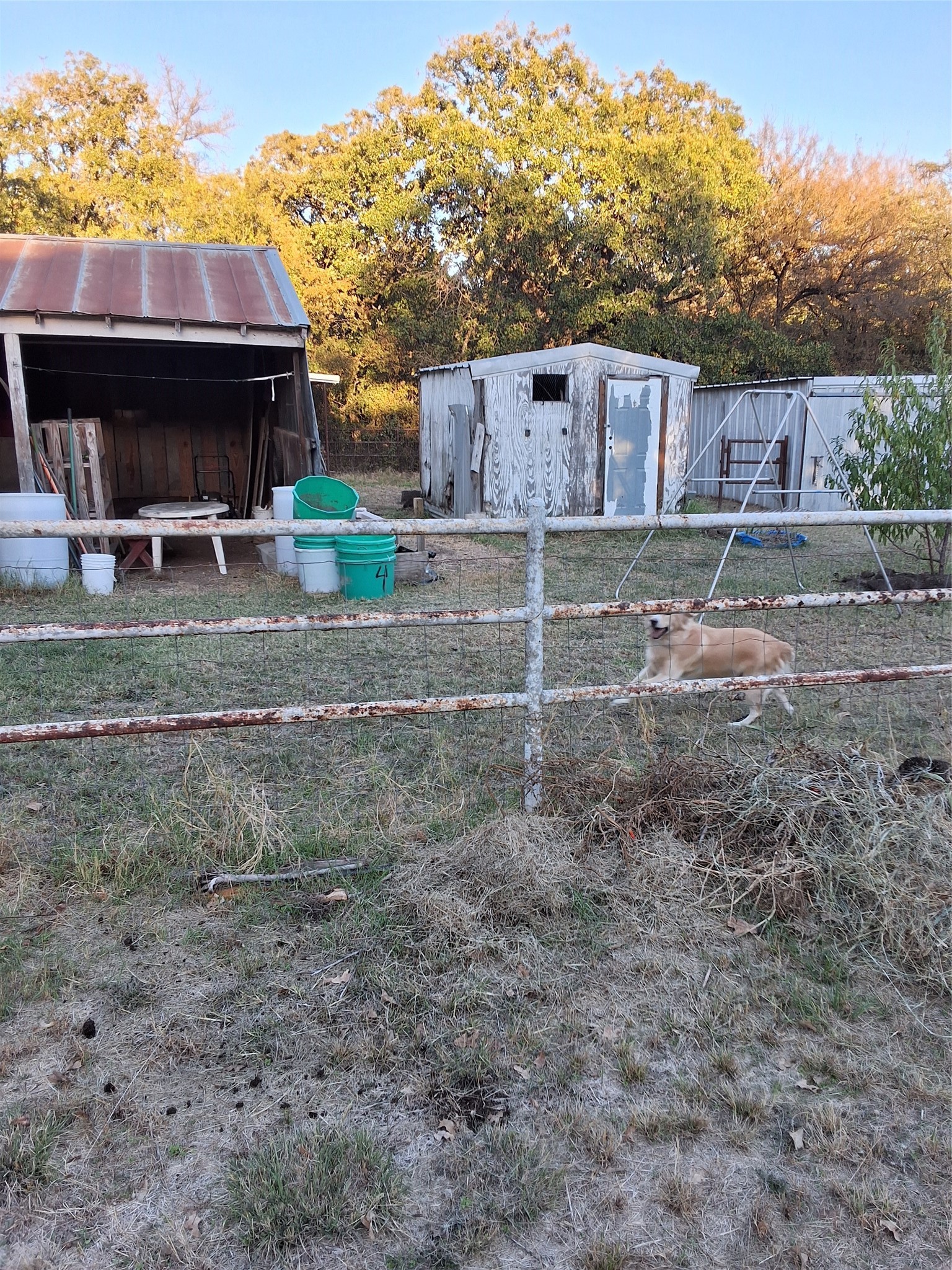 5765 Tokio Road West TX 76691