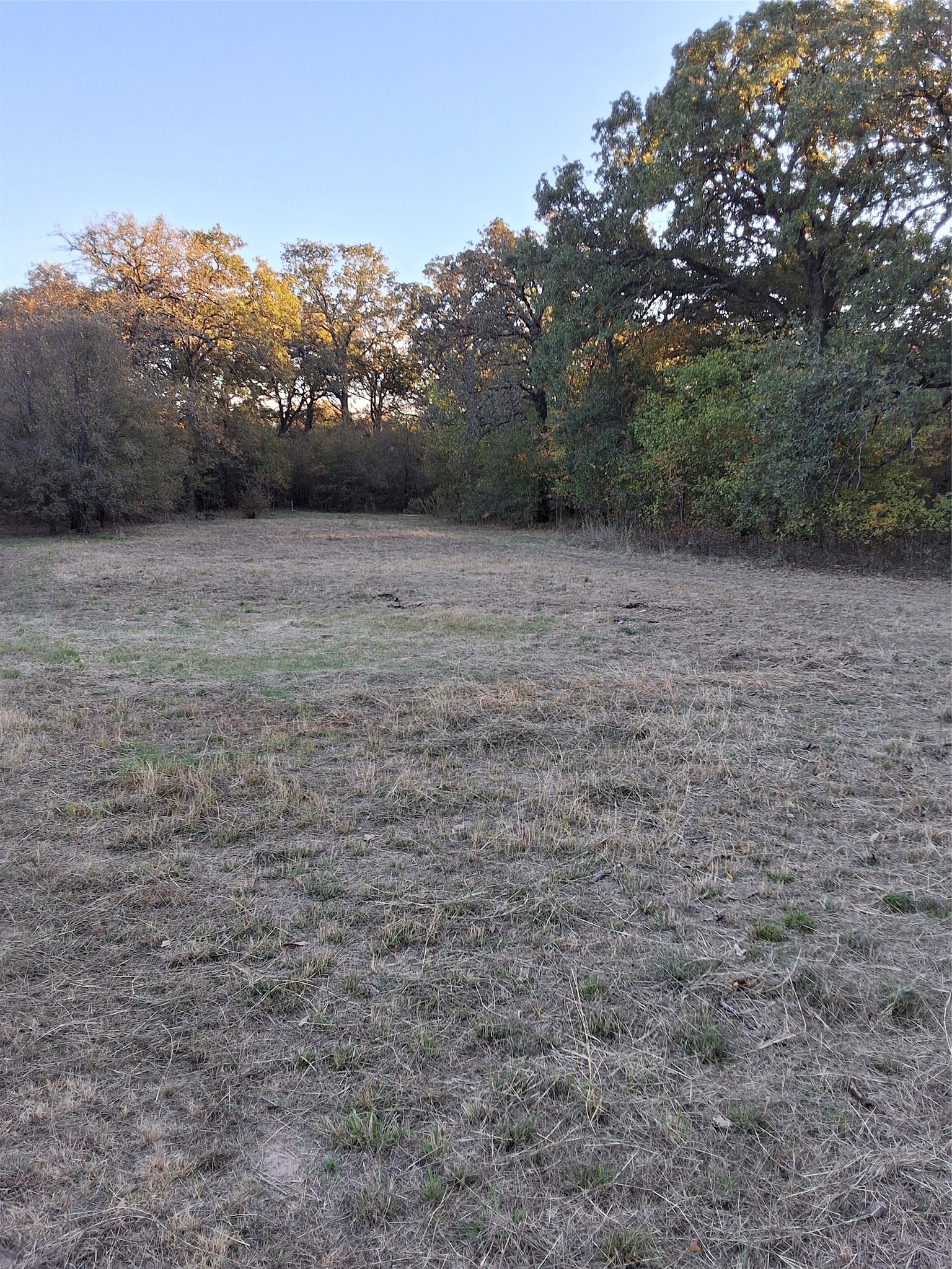 5765 Tokio Road West TX 76691