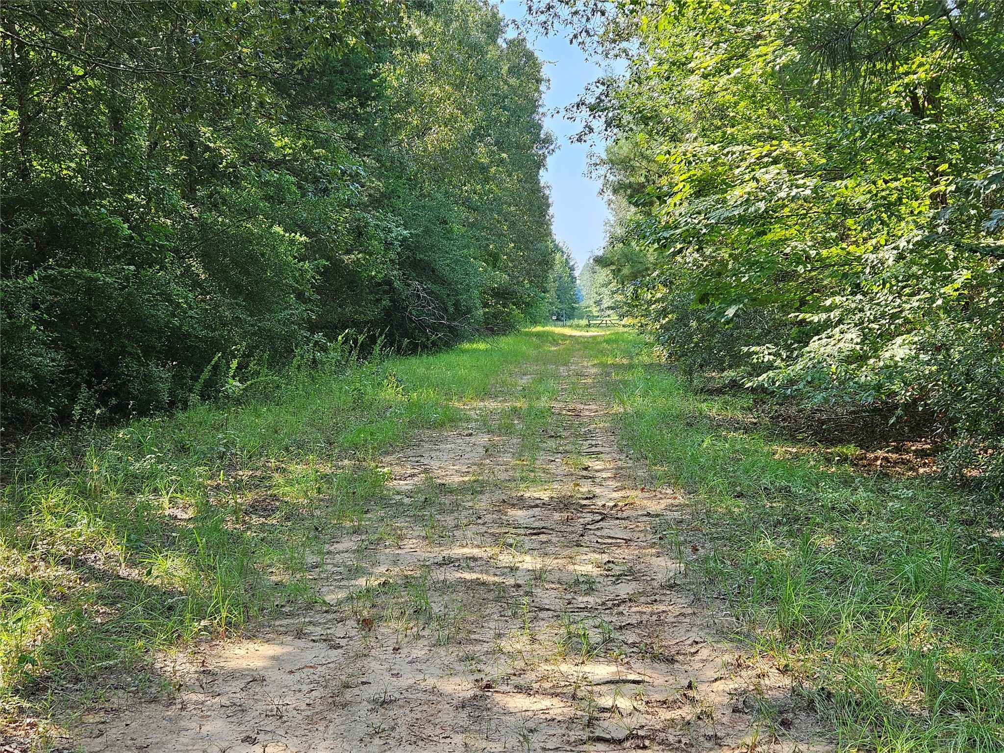 Tbd South Co. Road 4255 Henderson TX 75654