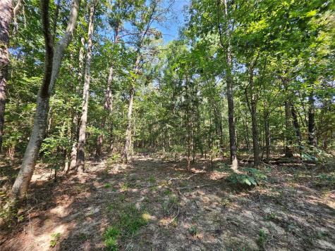 Tbd South Co. Road 4255 Henderson TX 75654