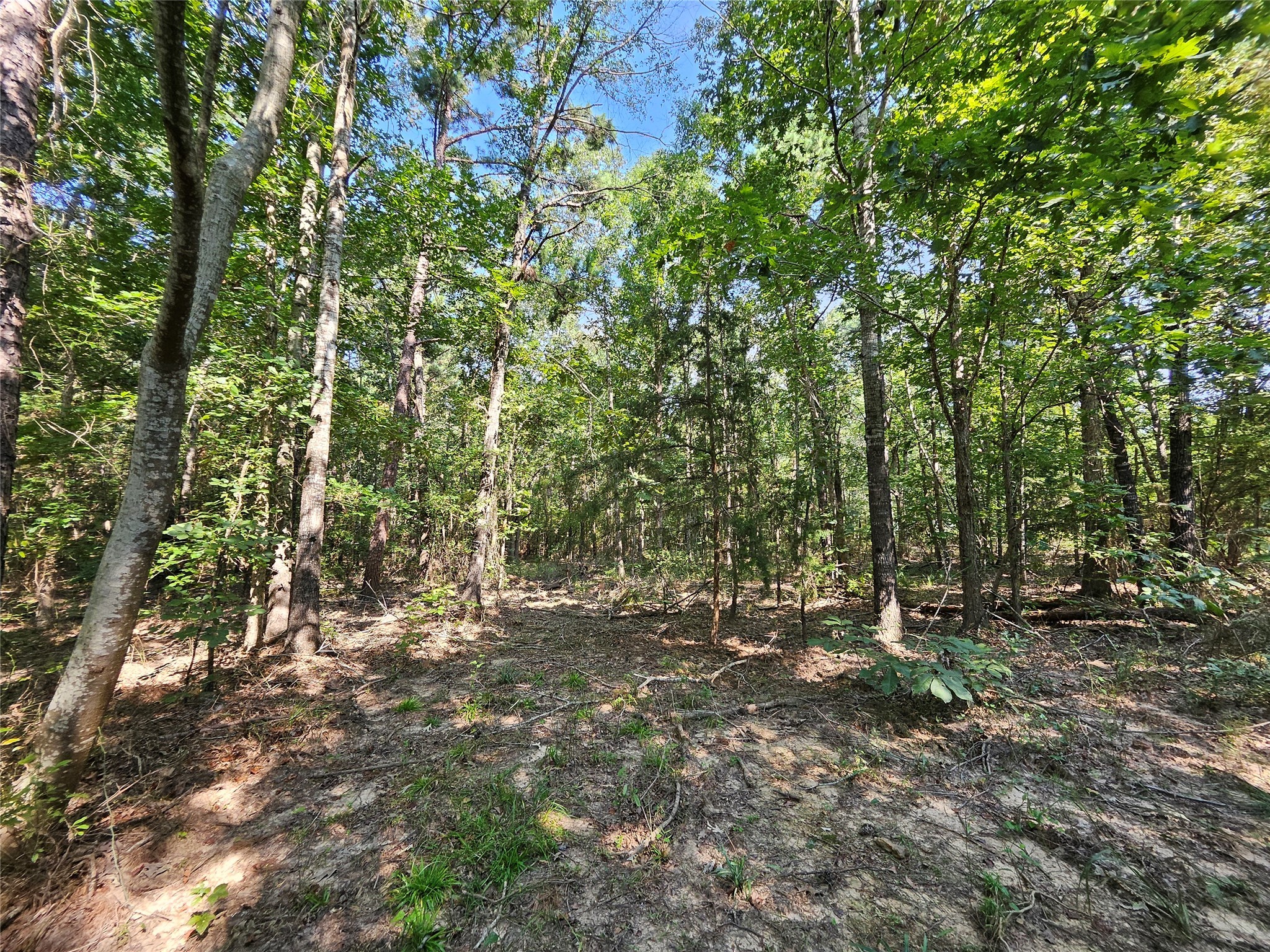 Tbd South Co. Road 4255 Henderson TX 75654