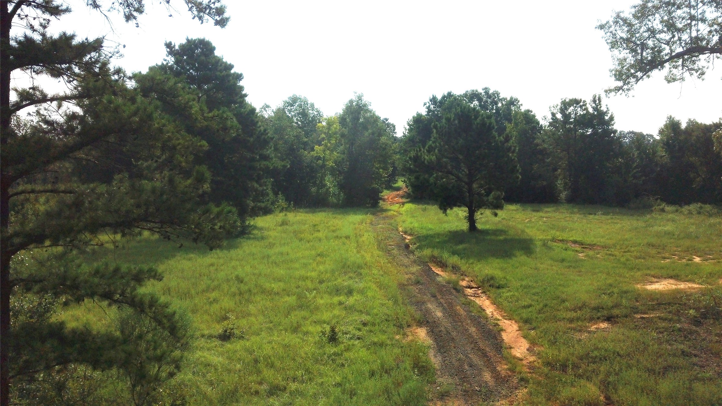Tbd South Co. Road 4255 Henderson TX 75654