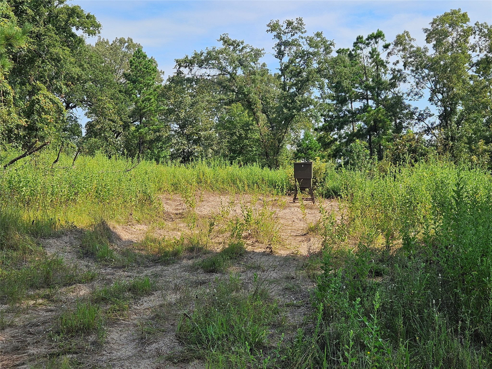 Tbd South Co. Road 4255 Henderson TX 75654