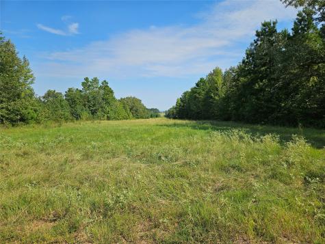 Tbd South Co. Road 4255 Henderson TX 75654
