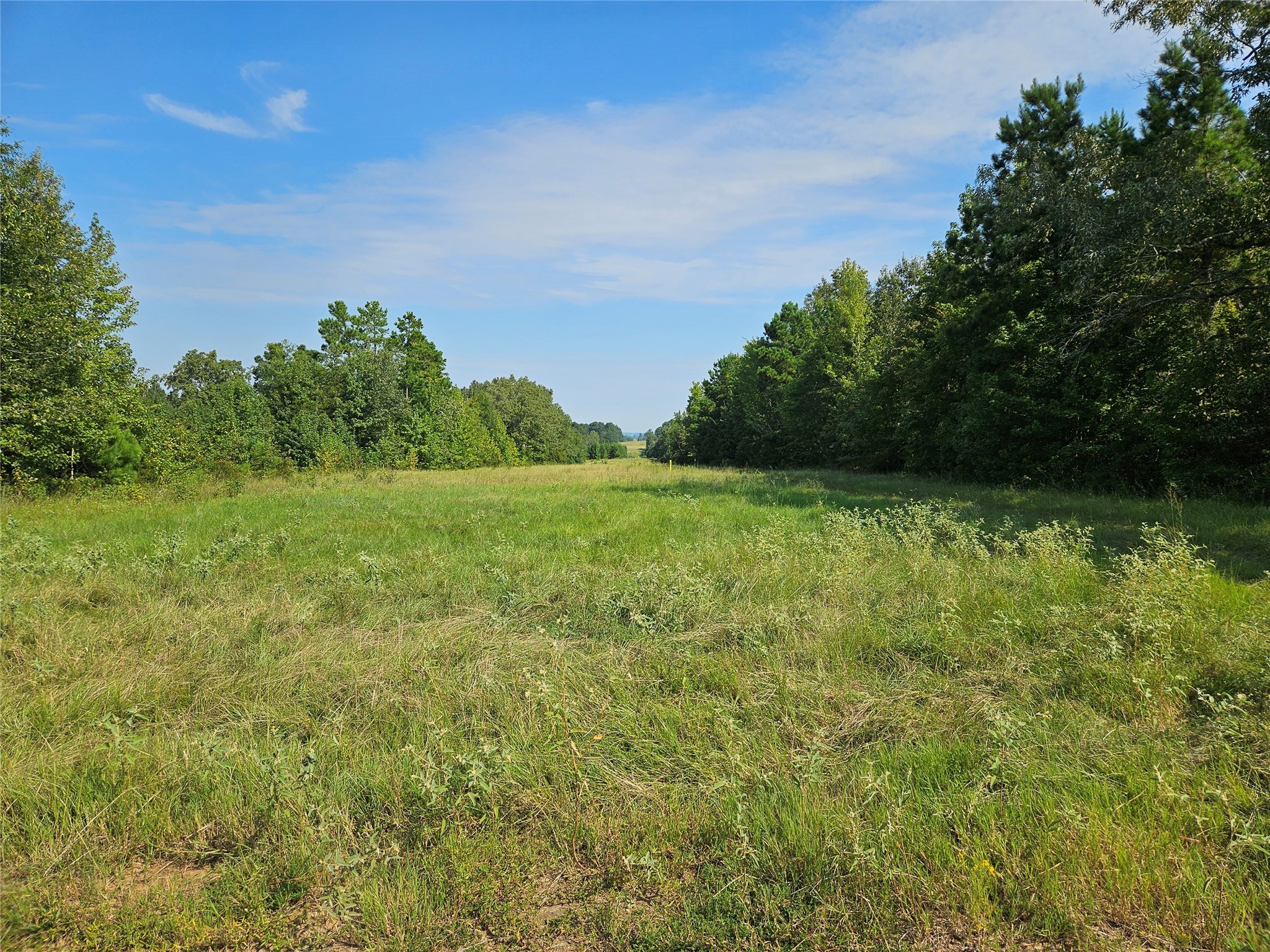 Tbd South Co. Road 4255 Henderson TX 75654