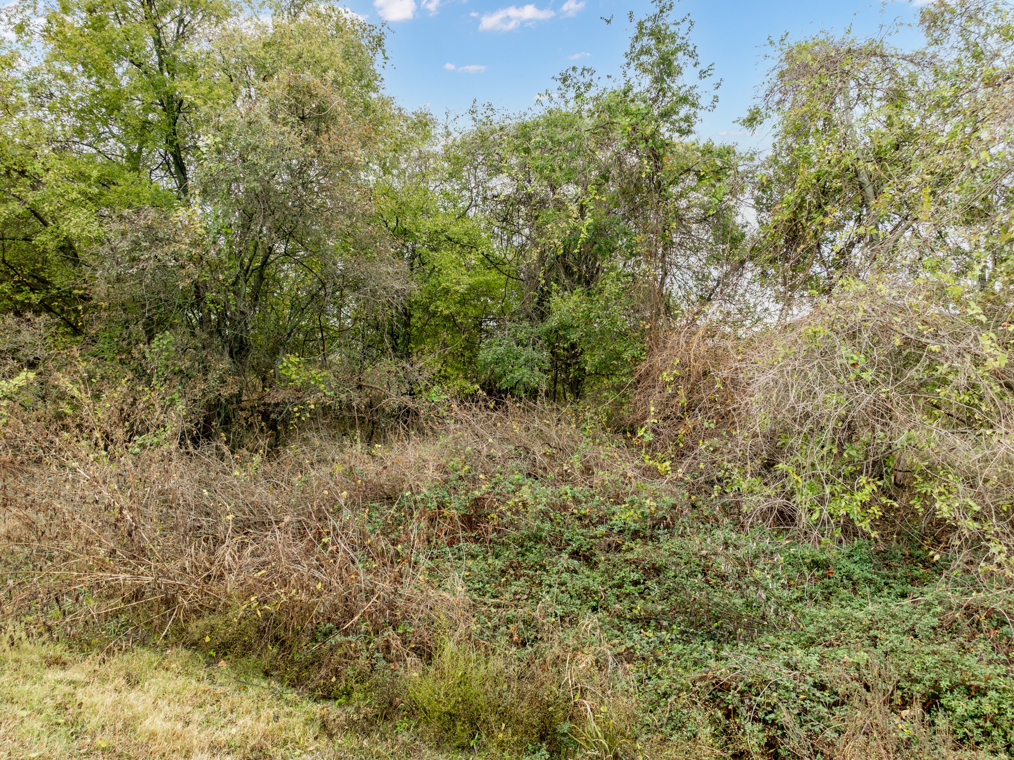 22193 Shady Grove Drive Whitney TX 76692