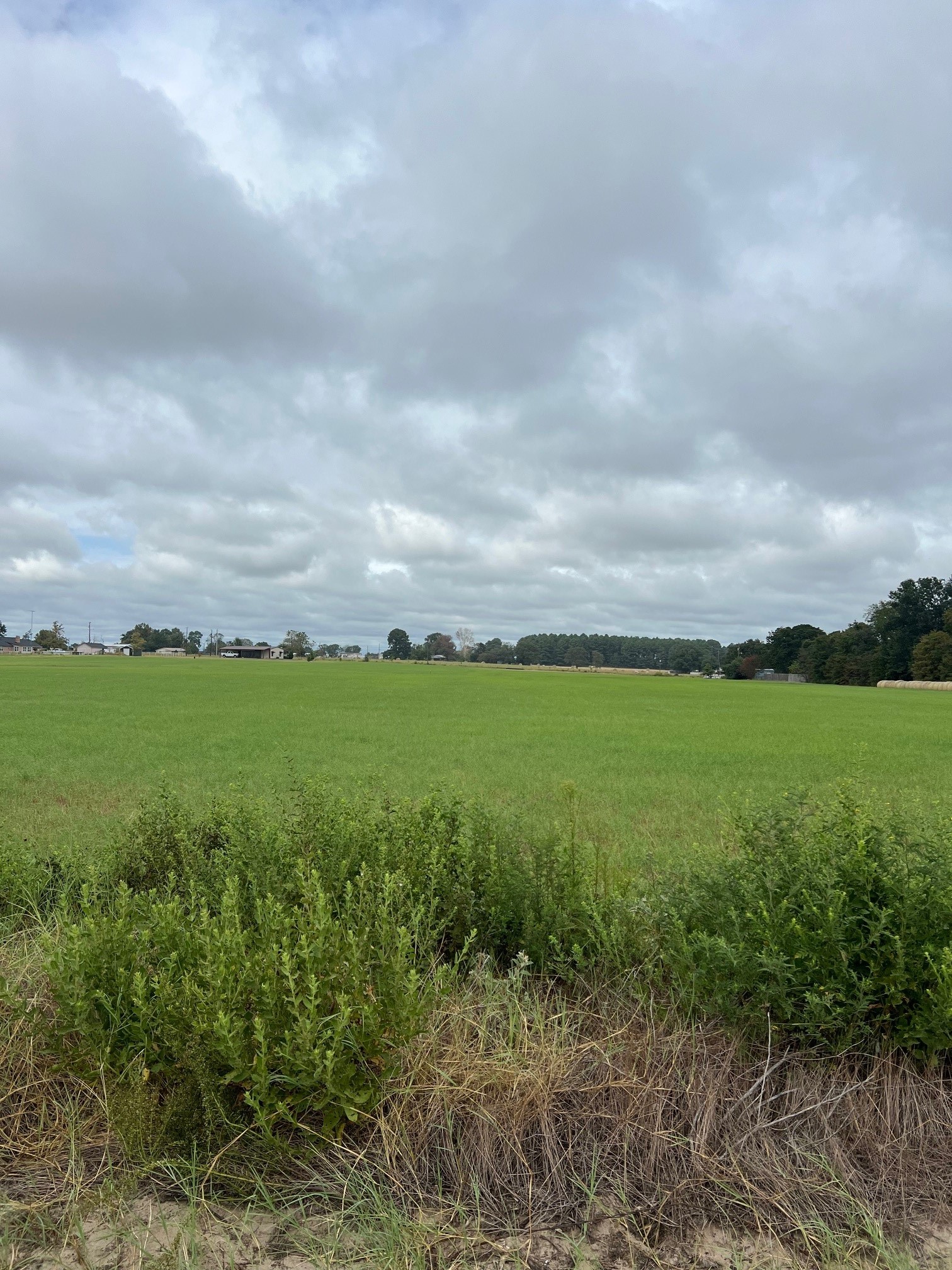 14018 County Road 4122 Lindale TX 75771