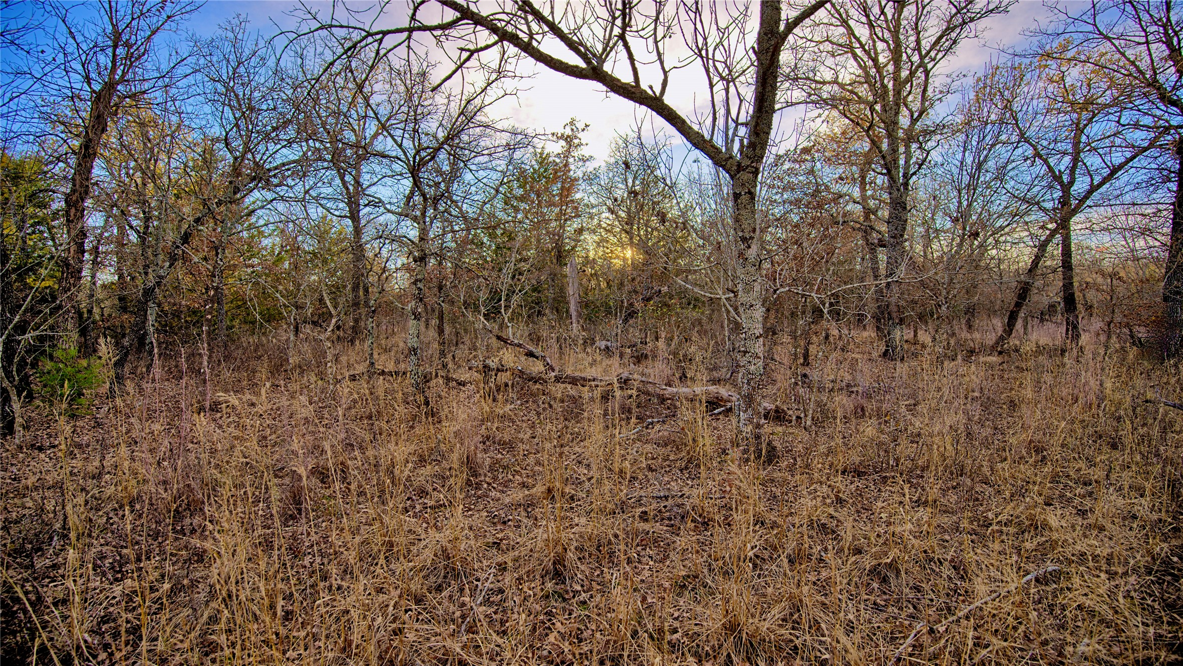 1943 Lakeridge Sunset TX 76270