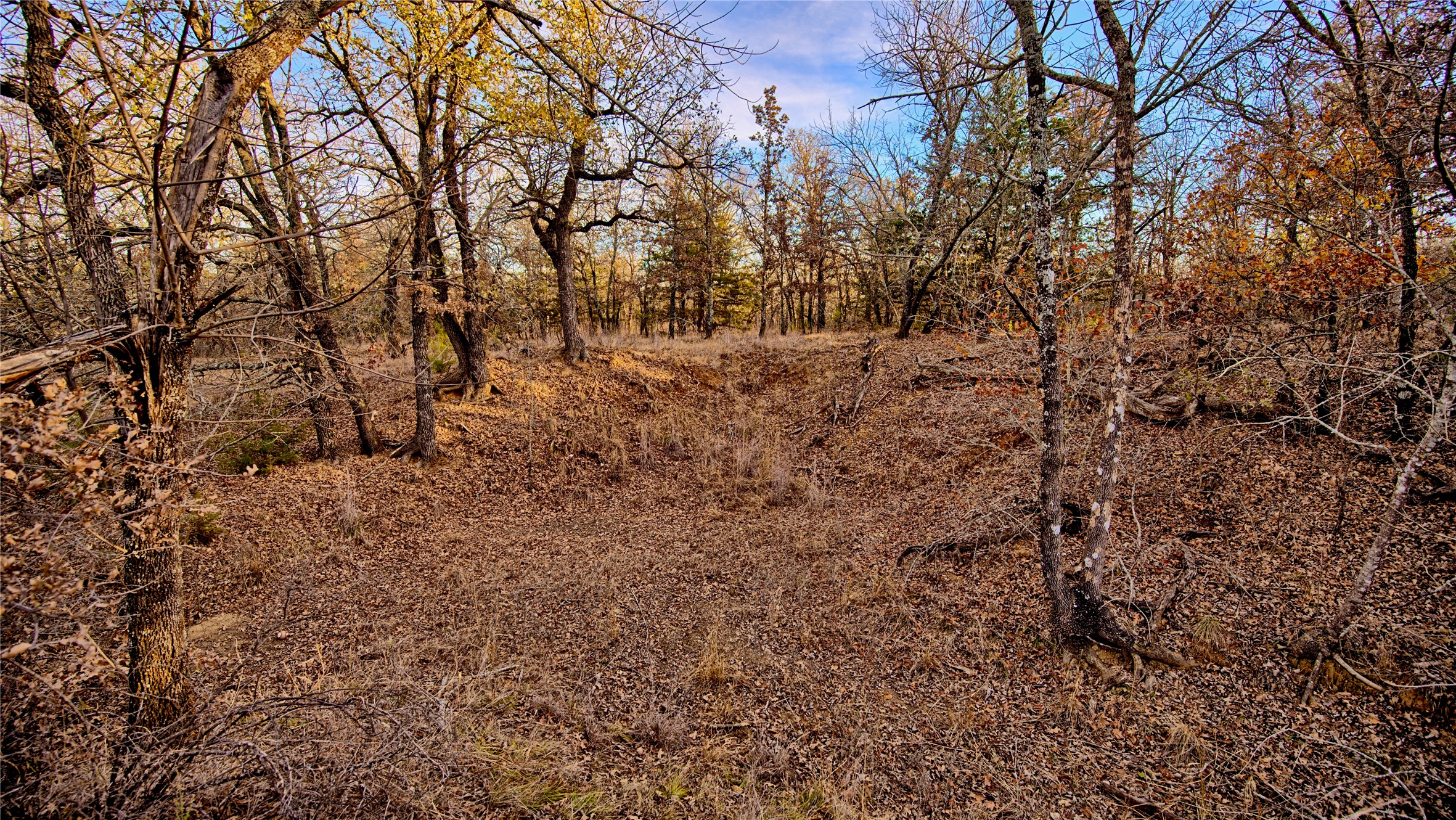 1943 Lakeridge Sunset TX 76270