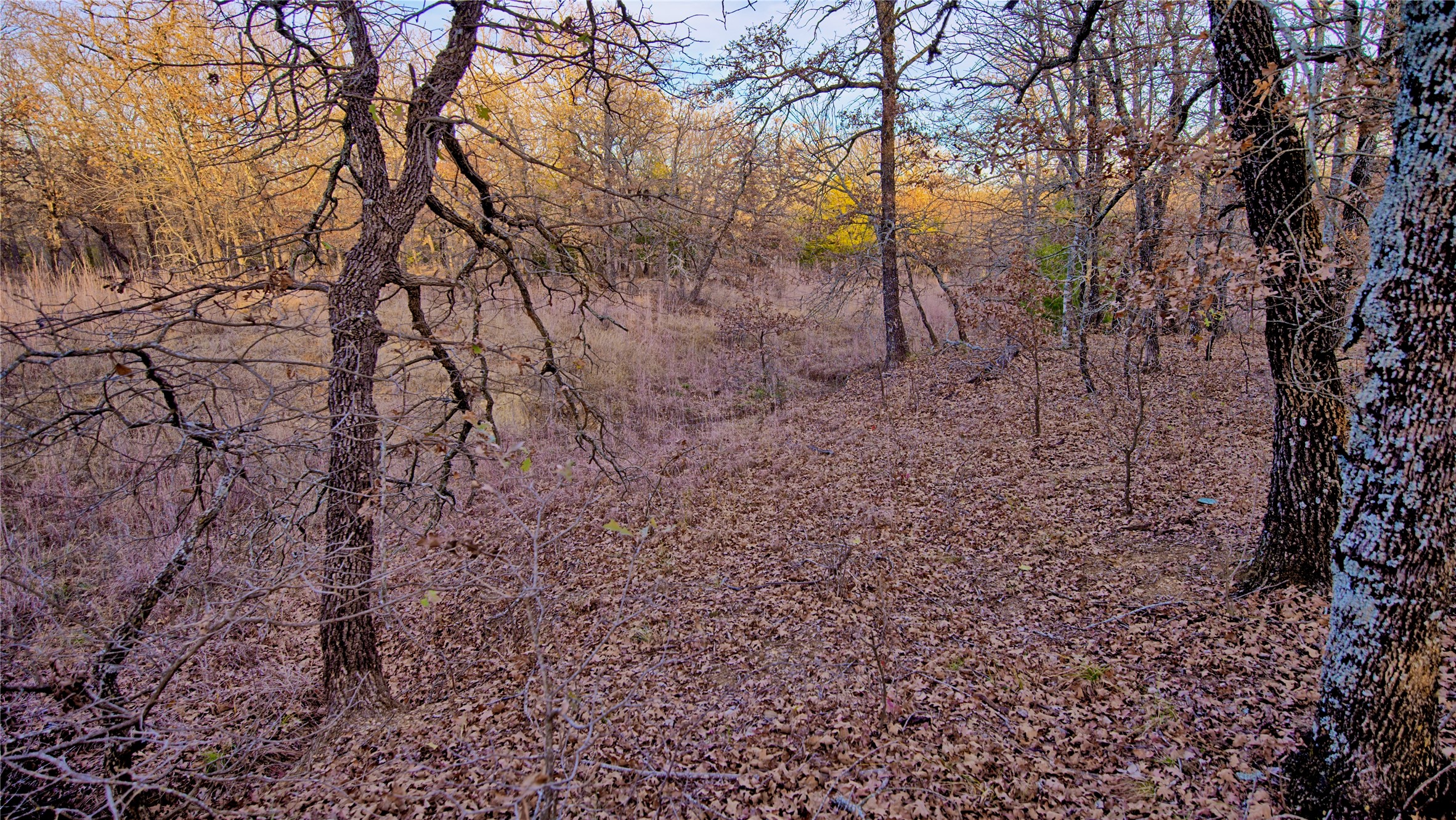 1943 Lakeridge Sunset TX 76270