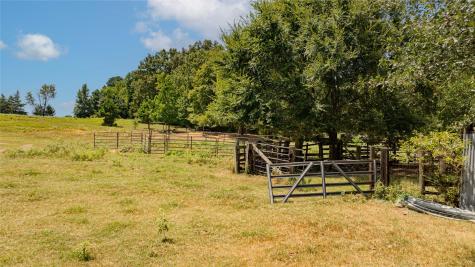 Tbd Fm 726 Diana TX 75640