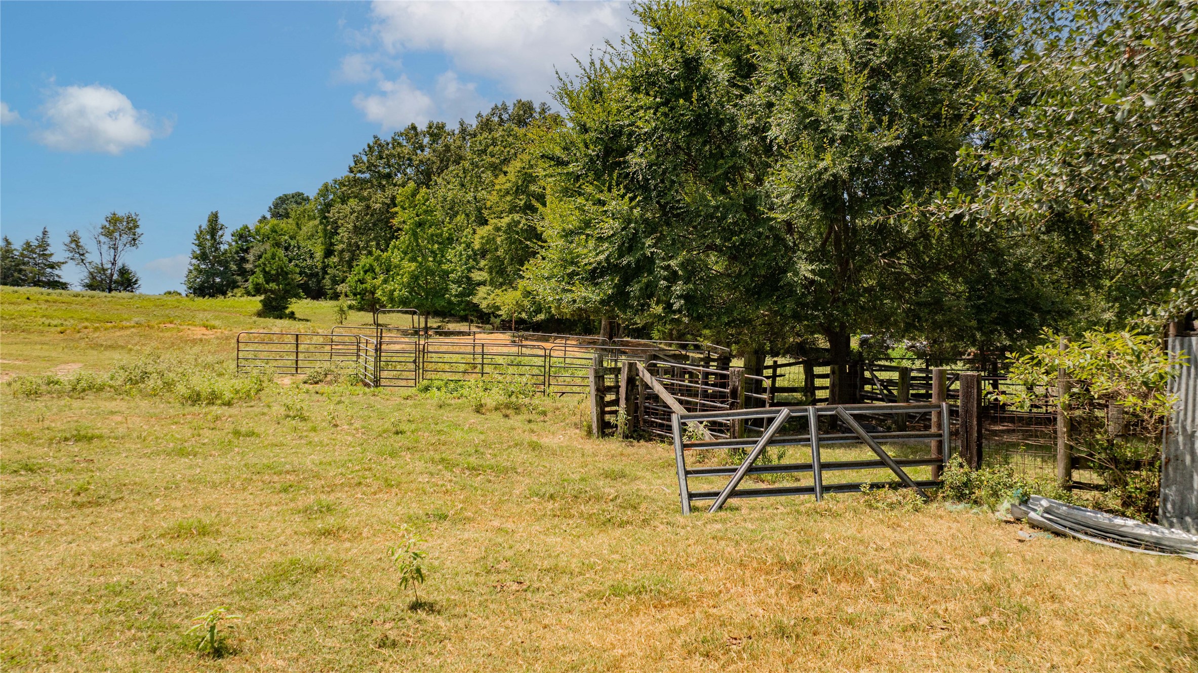 Tbd Fm 726 Diana TX 75640