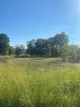 Lot 102 Brookview Court Bridgeport TX 76426