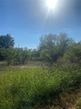 Lot 102 Brookview Court Bridgeport TX 76426