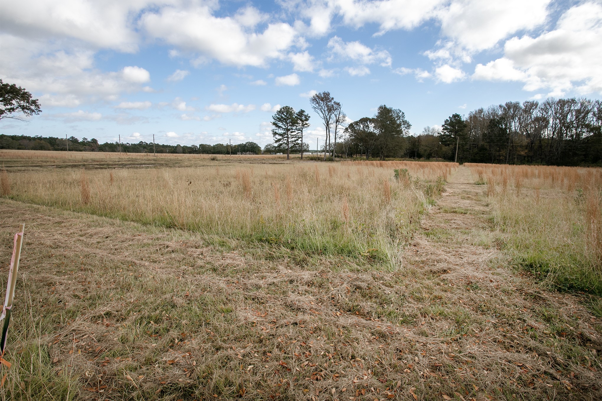 Lt 6 0 Tbd Fm 1892 Frankston TX 75763