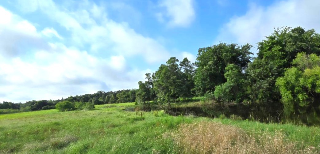 Tbd George Wachel Road Road Bremond TX 76629