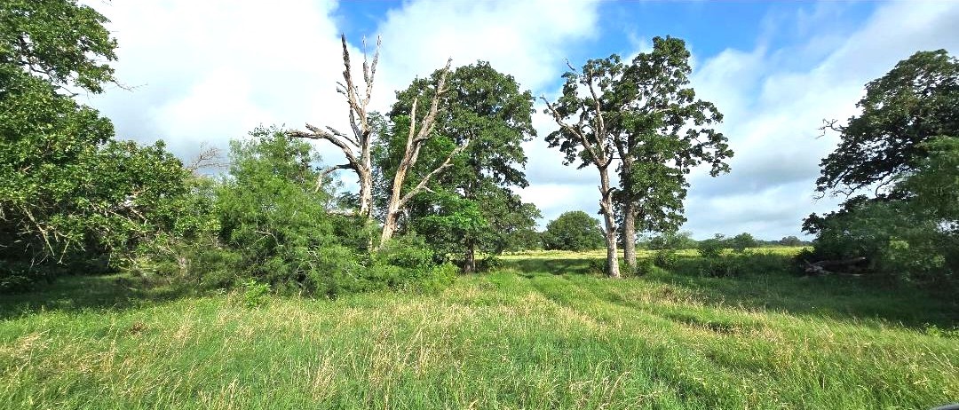 Tbd George Wachel Road Road Bremond TX 76629