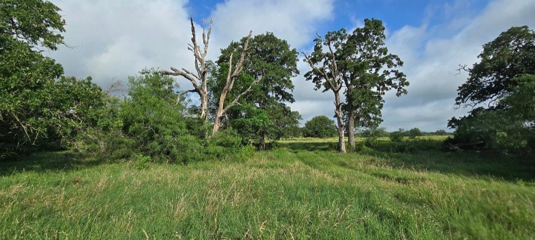 Tbd George Wachel Road Road Bremond TX 76629