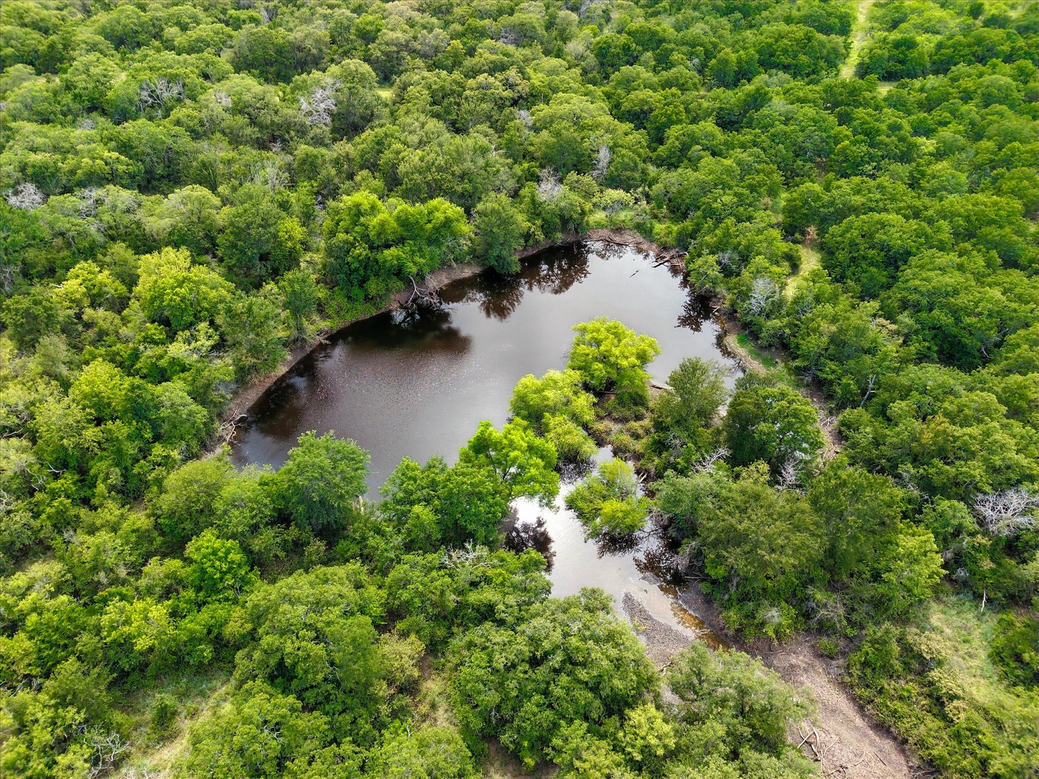 4976 Fm 2190 Jacksboro TX 76458