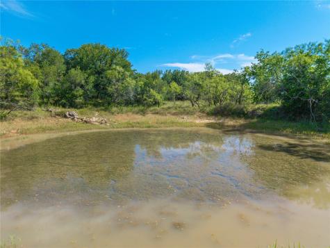 92.195 Acres Tbd County Road 434 De Leon TX 76446