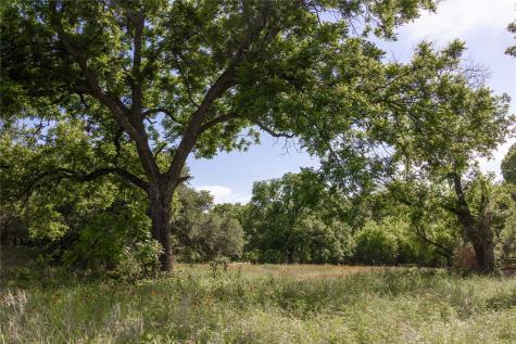 92.195 Acres Tbd County Road 434 De Leon TX 76446