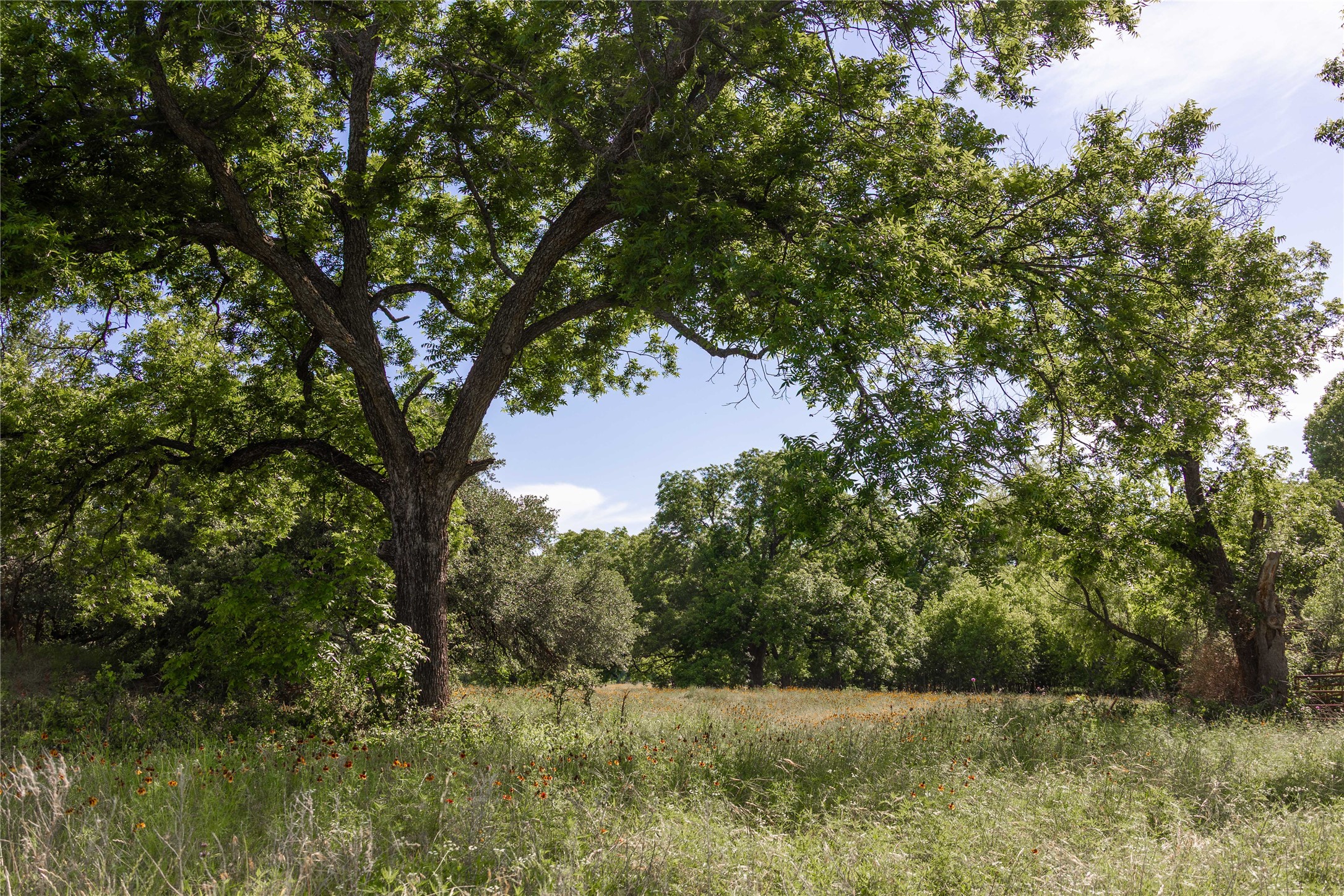 92.195 Acres Tbd County Road 434 De Leon TX 76446