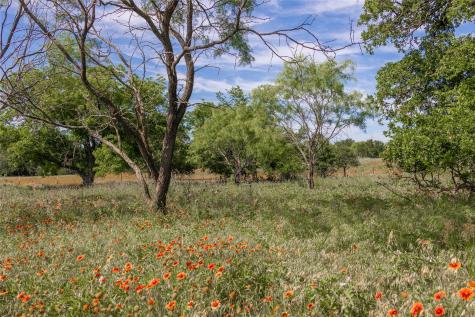 92.195 Acres Tbd County Road 434 De Leon TX 76446