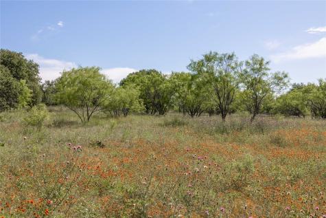 92.195 Acres Tbd County Road 434 De Leon TX 76446