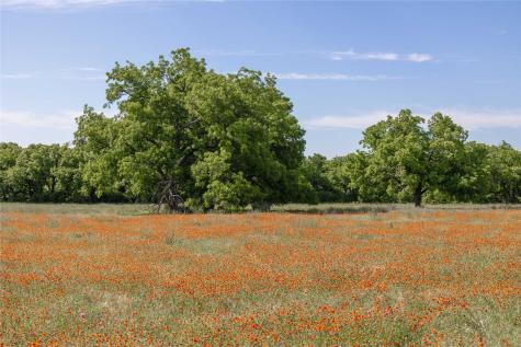 92.195 Acres Tbd County Road 434 De Leon TX 76446