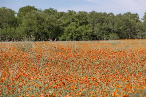 92.195 Acres Tbd County Road 434 De Leon TX 76446