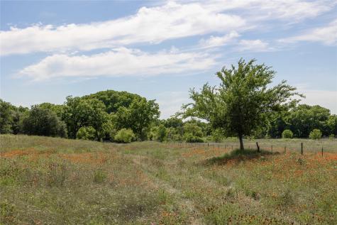 92.195 Acres Tbd County Road 434 De Leon TX 76446