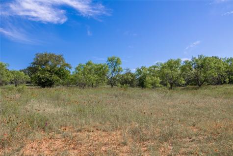92.195 Acres Tbd County Road 434 De Leon TX 76446