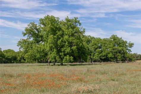 92.195 Acres Tbd County Road 434 De Leon TX 76446