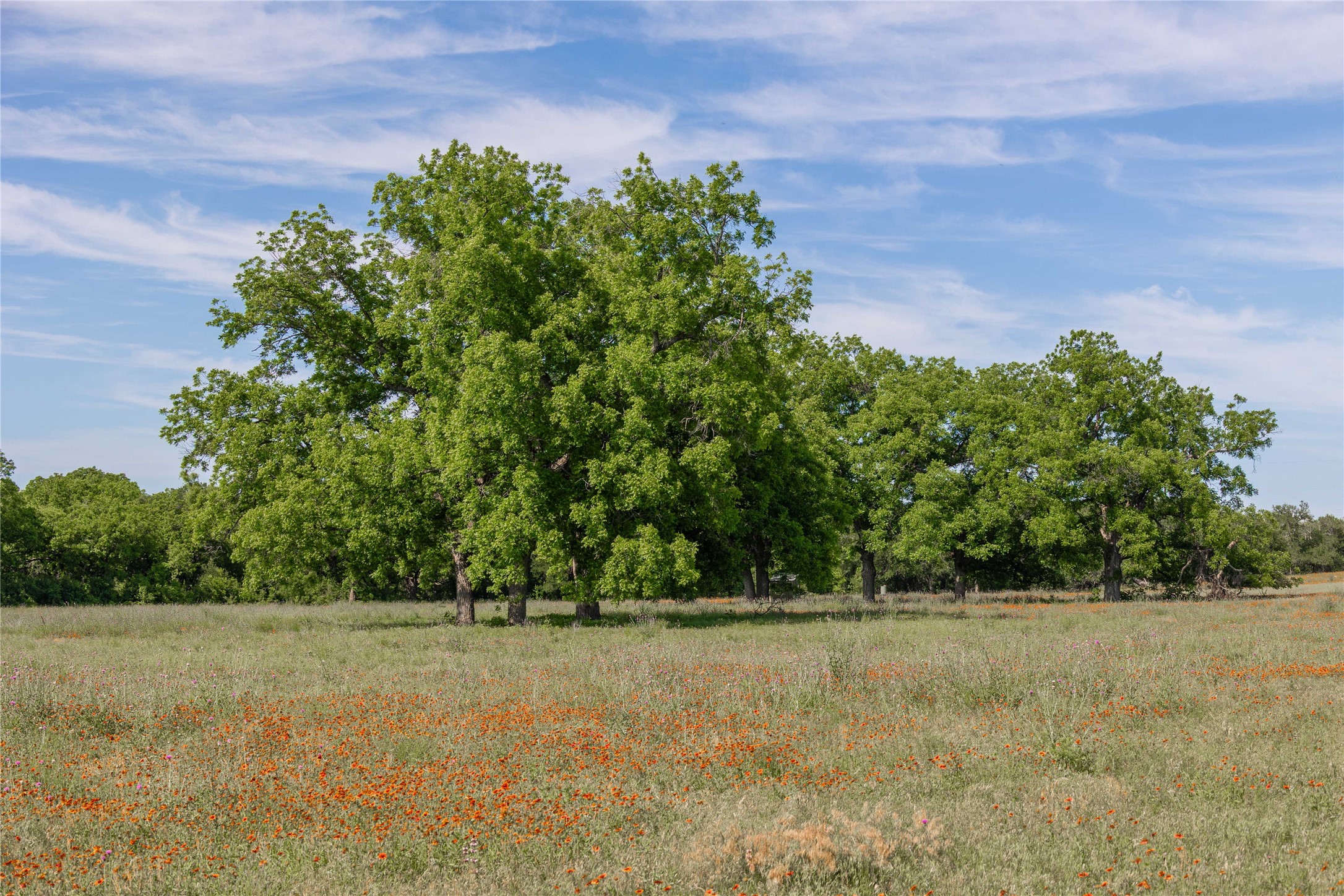 92.195 Acres Tbd County Road 434 De Leon TX 76446