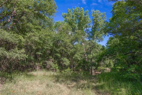 92.195 Acres Tbd County Road 434 De Leon TX 76446