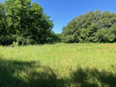 92.195 Acres Tbd County Road 434 De Leon TX 76446