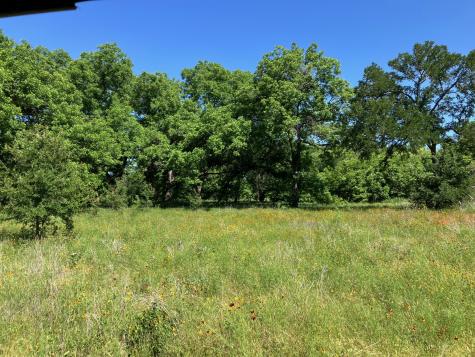 92.195 Acres Tbd County Road 434 De Leon TX 76446