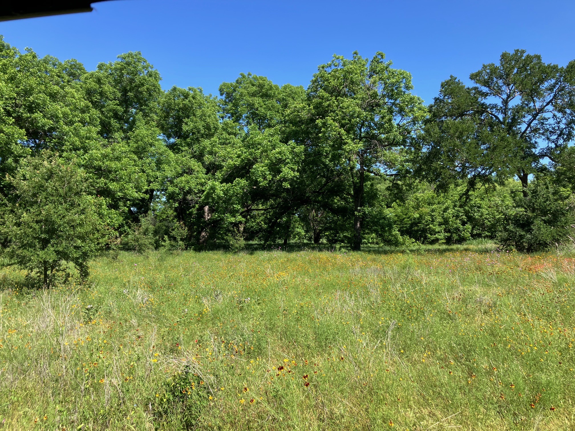 92.195 Acres Tbd County Road 434 De Leon TX 76446