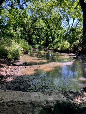 92.195 Acres Tbd County Road 434 De Leon TX 76446