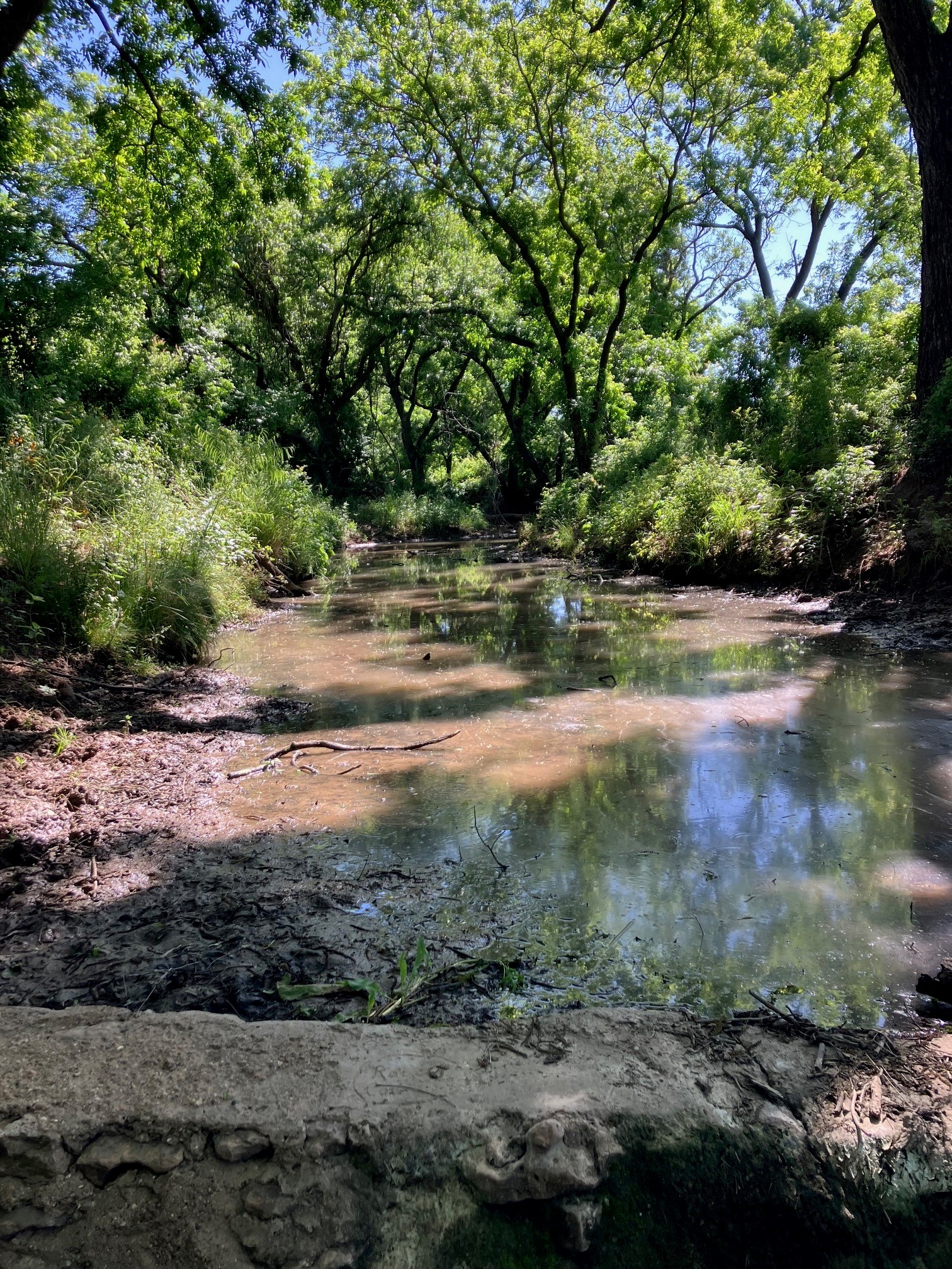 92.195 Acres Tbd County Road 434 De Leon TX 76446