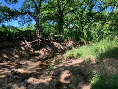 92.195 Acres Tbd County Road 434 De Leon TX 76446
