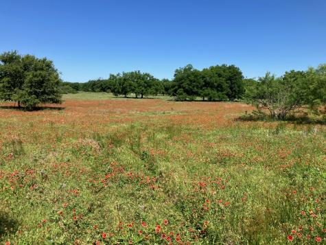 92.195 Acres Tbd County Road 434 De Leon TX 76446