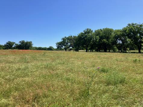 92.195 Acres Tbd County Road 434 De Leon TX 76446