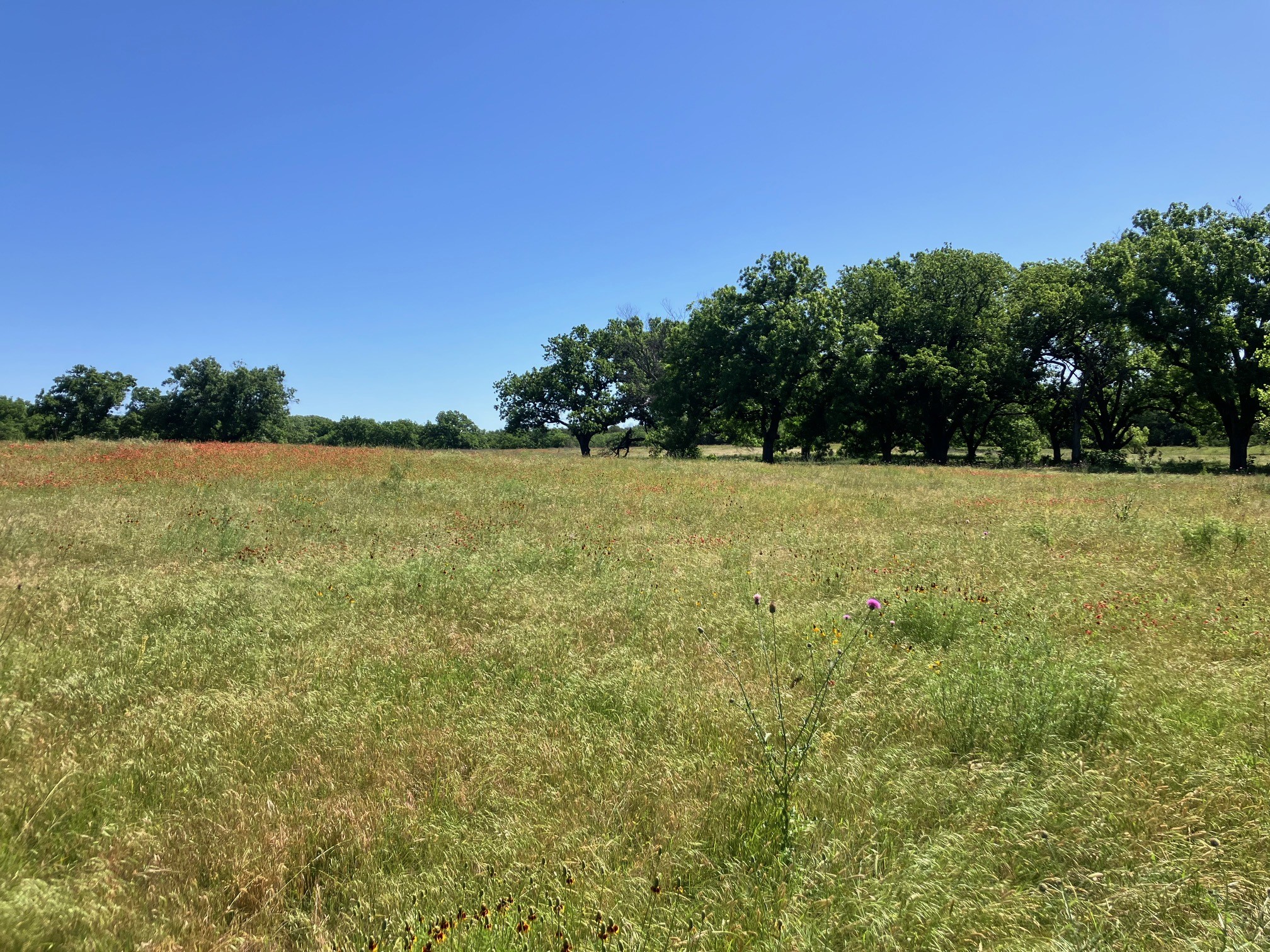 92.195 Acres Tbd County Road 434 De Leon TX 76446