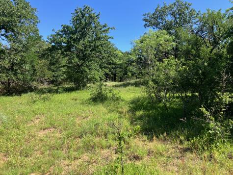 92.195 Acres Tbd County Road 434 De Leon TX 76446