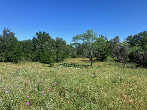92.195 Acres Tbd County Road 434 De Leon TX 76446