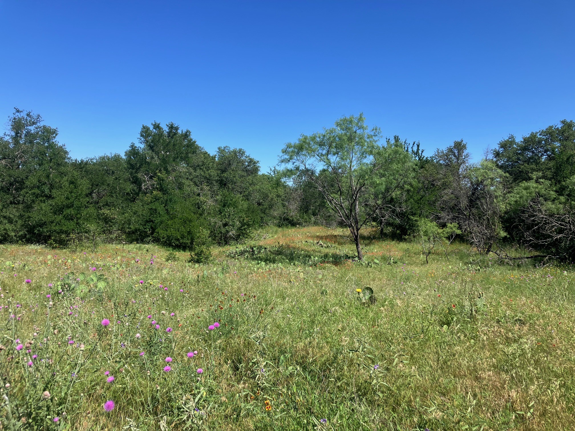 92.195 Acres Tbd County Road 434 De Leon TX 76446