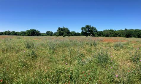 92.195 Acres Tbd County Road 434 De Leon TX 76446
