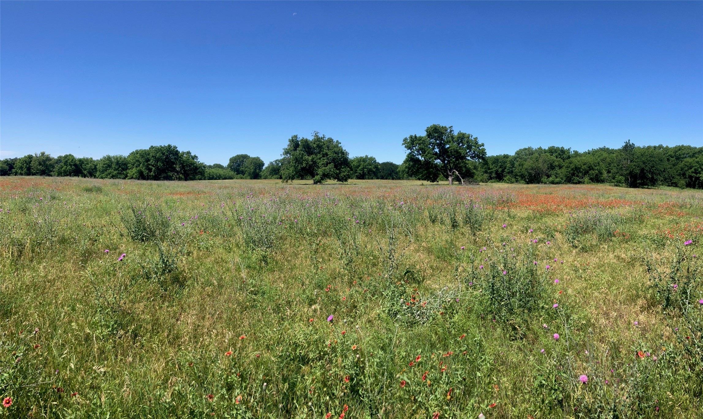92.195 Acres Tbd County Road 434 De Leon TX 76446