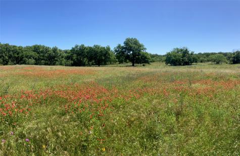 92.195 Acres Tbd County Road 434 De Leon TX 76446